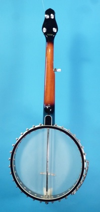 Gold Tone CEB–5 Cello Banjo