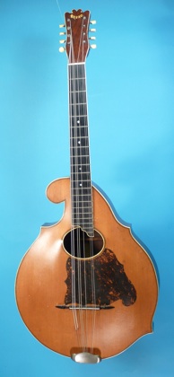 Bruno Mandocello Face